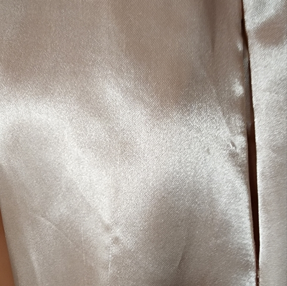 Windsor Dress Sleeveless Pleated Cut Out Velvet and Satin Champagne Size… - Picture 9 of 17